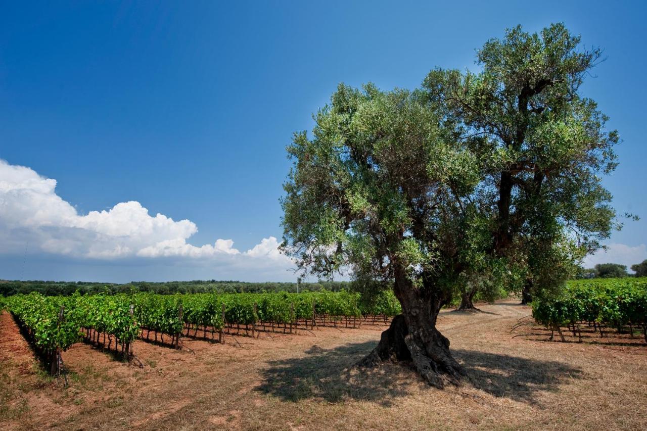 Masseria Le Fabriche Маруджо Екстериор снимка