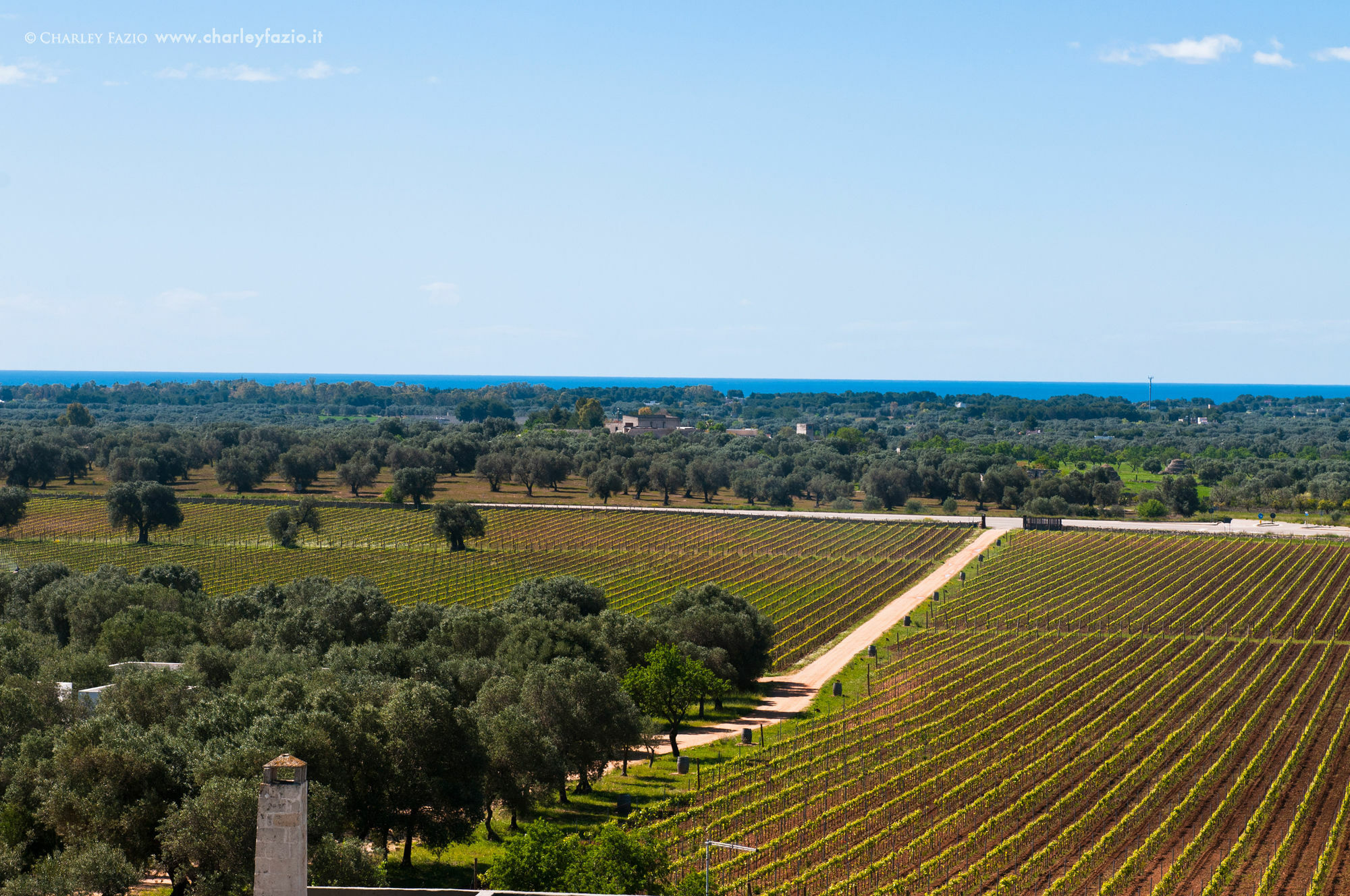 Masseria Le Fabriche Маруджо Екстериор снимка